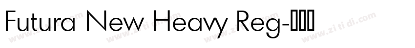 Futura New Heavy Reg字体转换